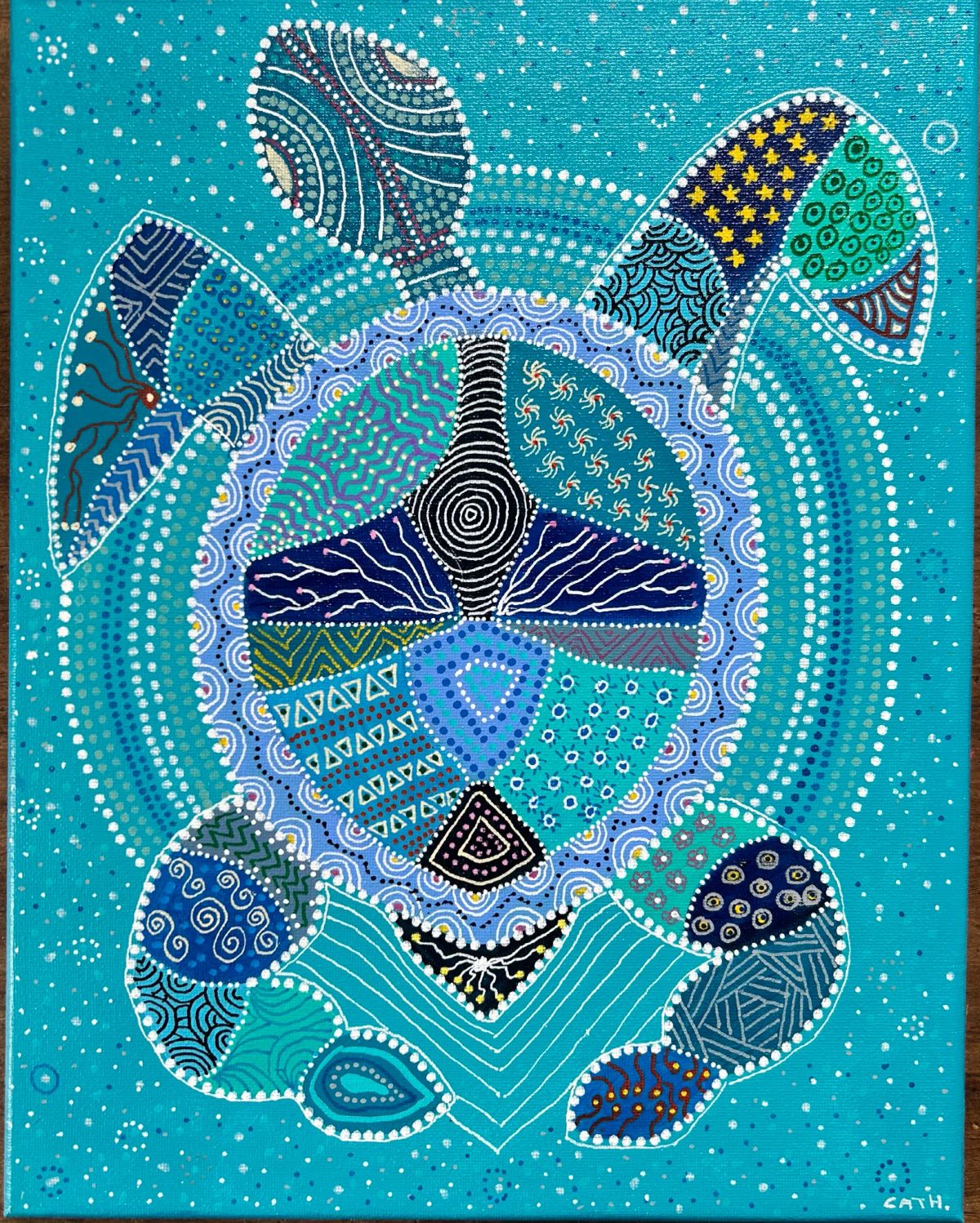 Honu, la magnifique
