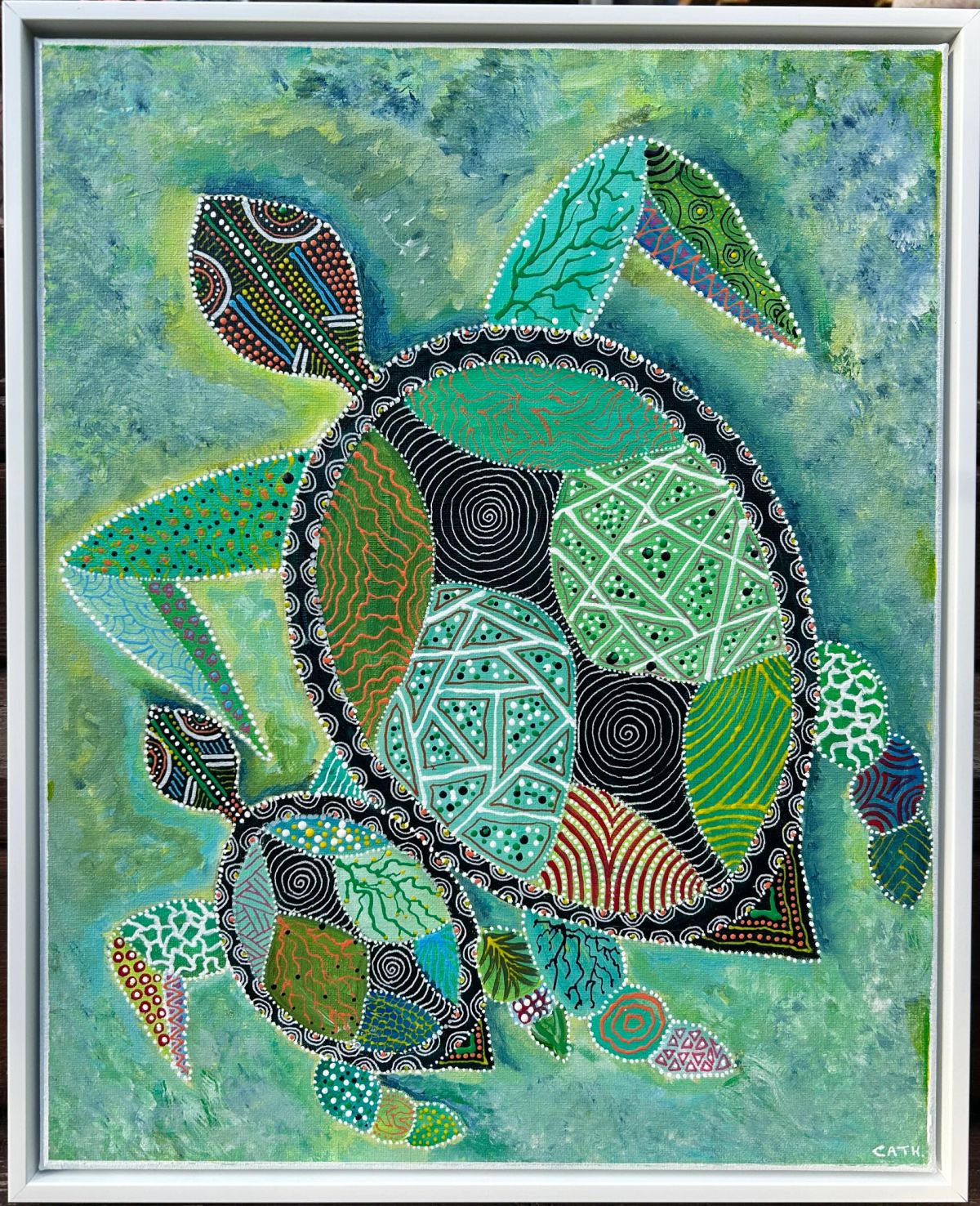 Anis et Anisette, les tortues du lac